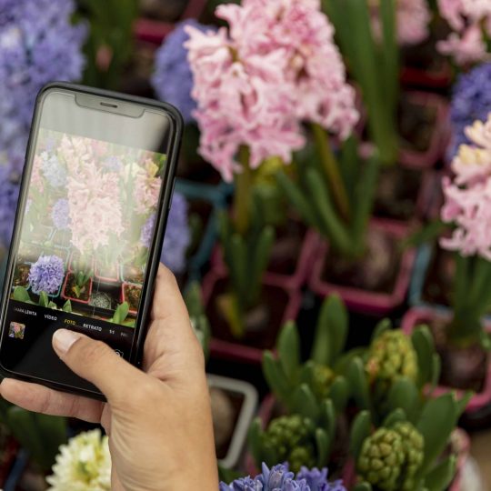 close up woman taking photo flowers 1 min scaled