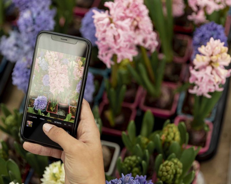 close up woman taking photo flowers 1 min scaled